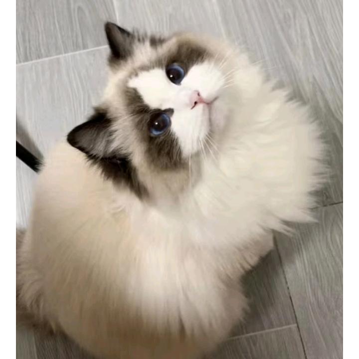 小小的勇气