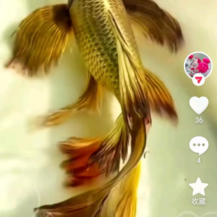 顺其自然