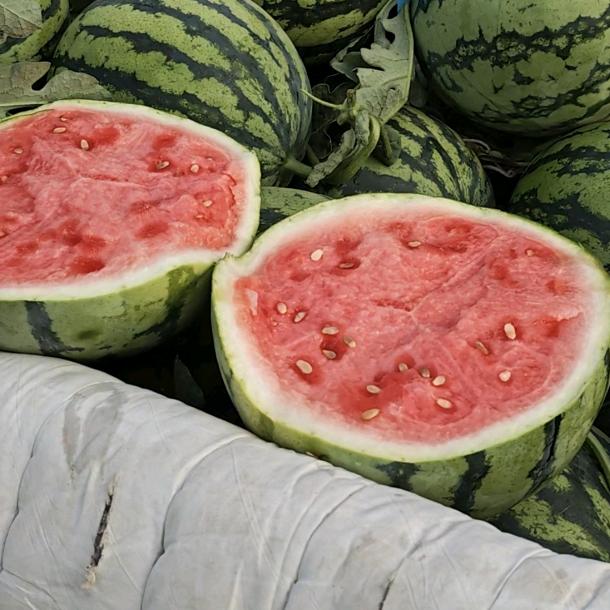 西瓜🍉辣椒🌶️灬小程