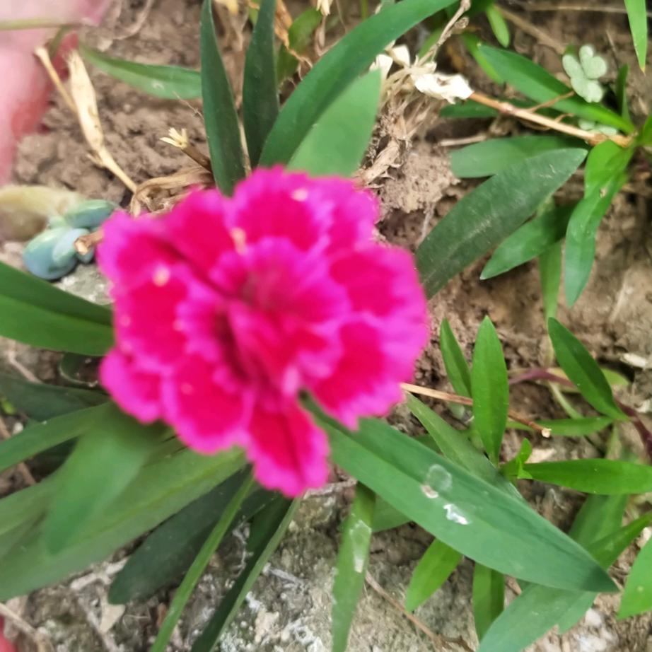 晴天姐(首播)