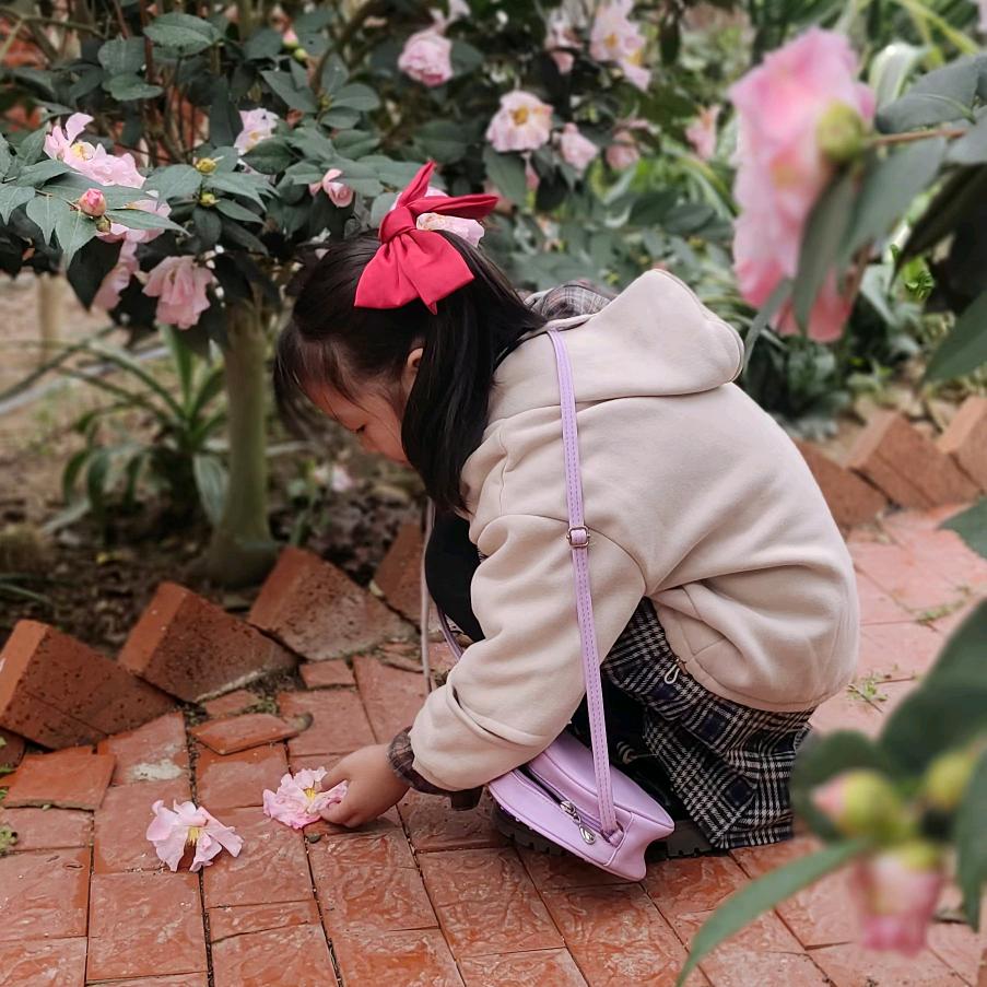 夏雨泪蒙蒙