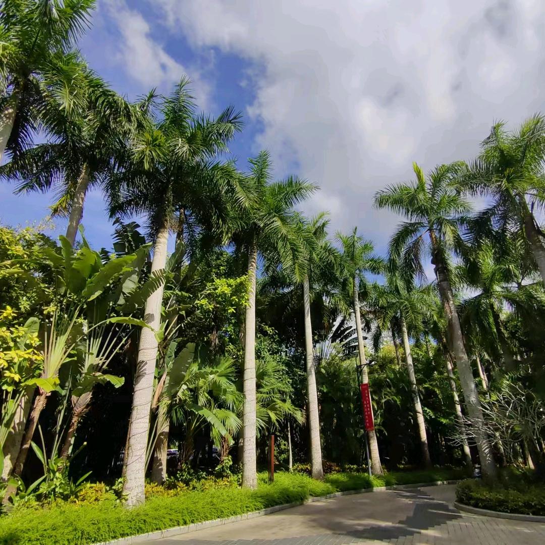 雄县燕雄摩托 刘爱峰