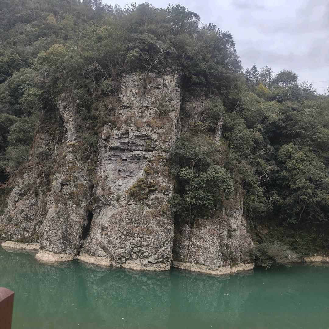 三雄极光照明龚春丽