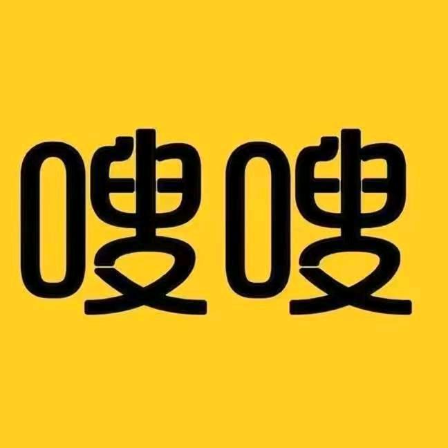 烟台开发区嗖嗖电动车