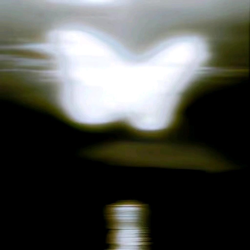 xx.