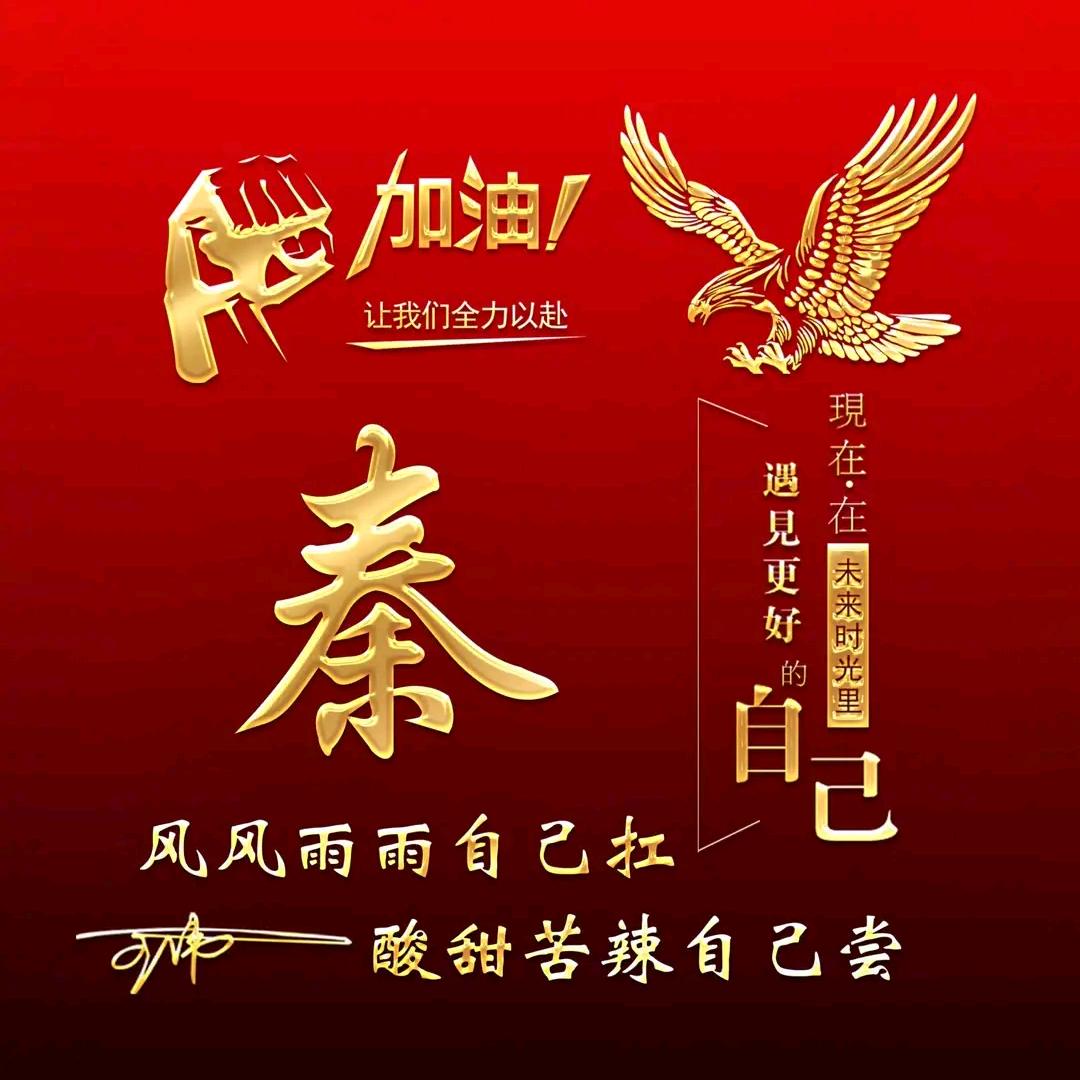 光头秦哥
