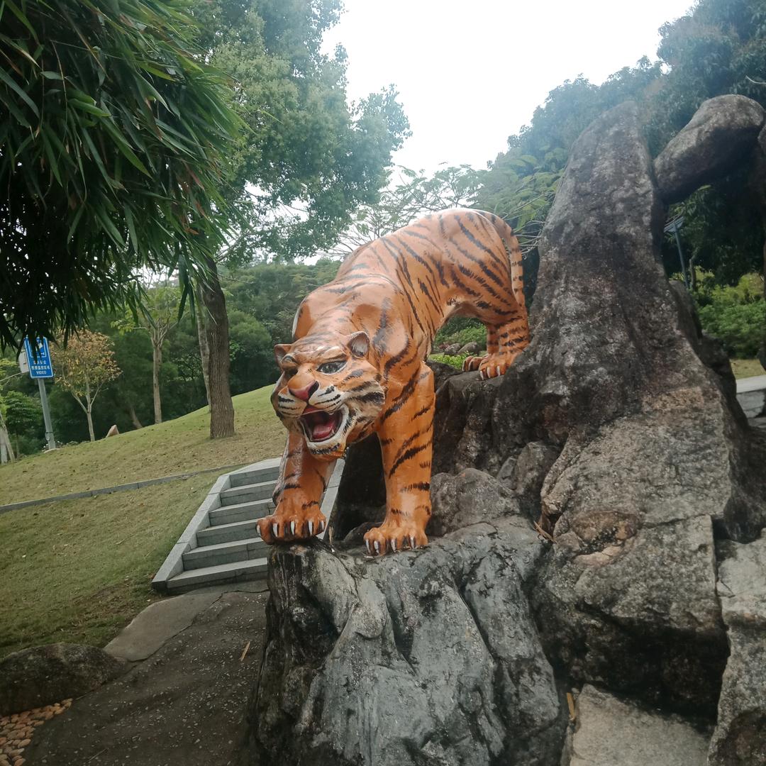 小妹
