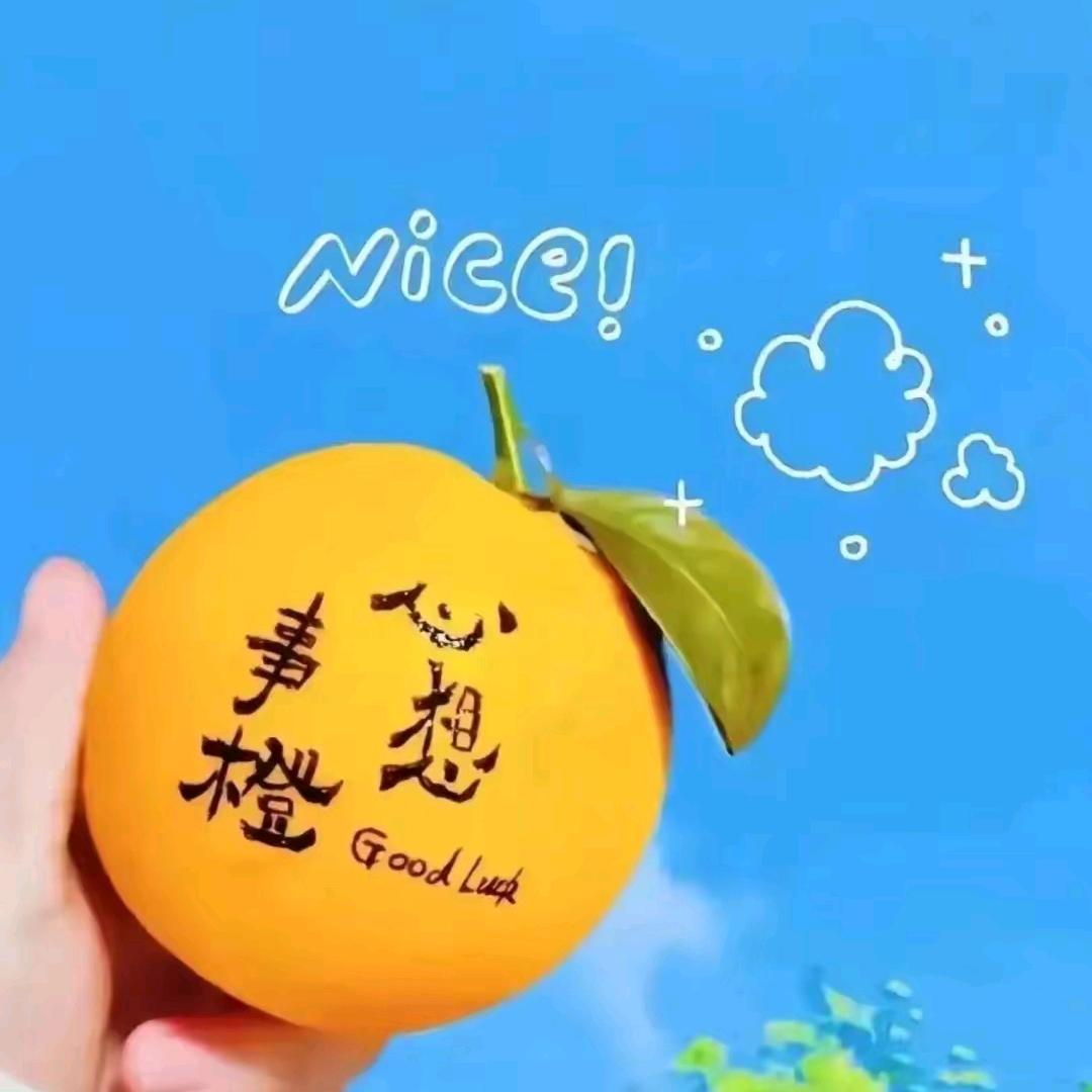 任嘉兜里💞半颗糖