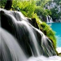 幺妹美蛙鱼自助火锅