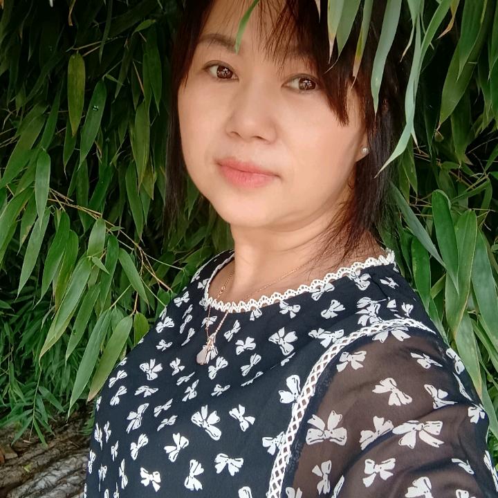 霜林孤影