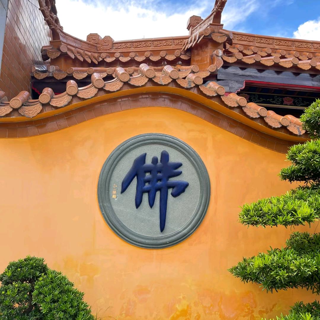 维度做饭