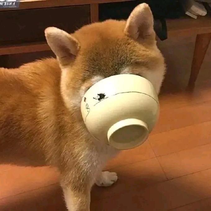 ঞ᭄淡忘ꦿ࿚້ᮨ໌