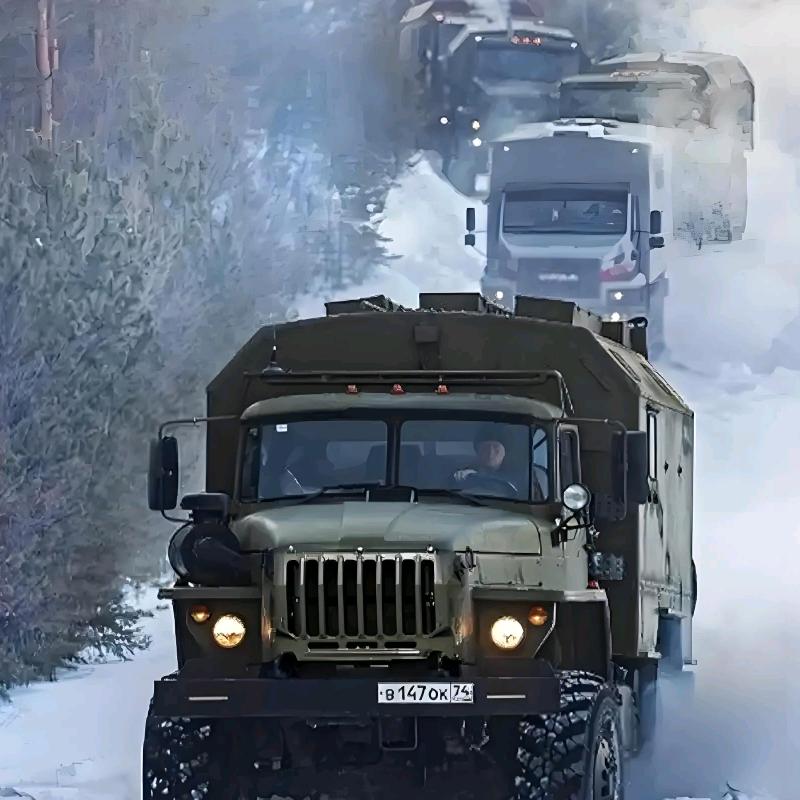 🐷会飞的鱼🐳