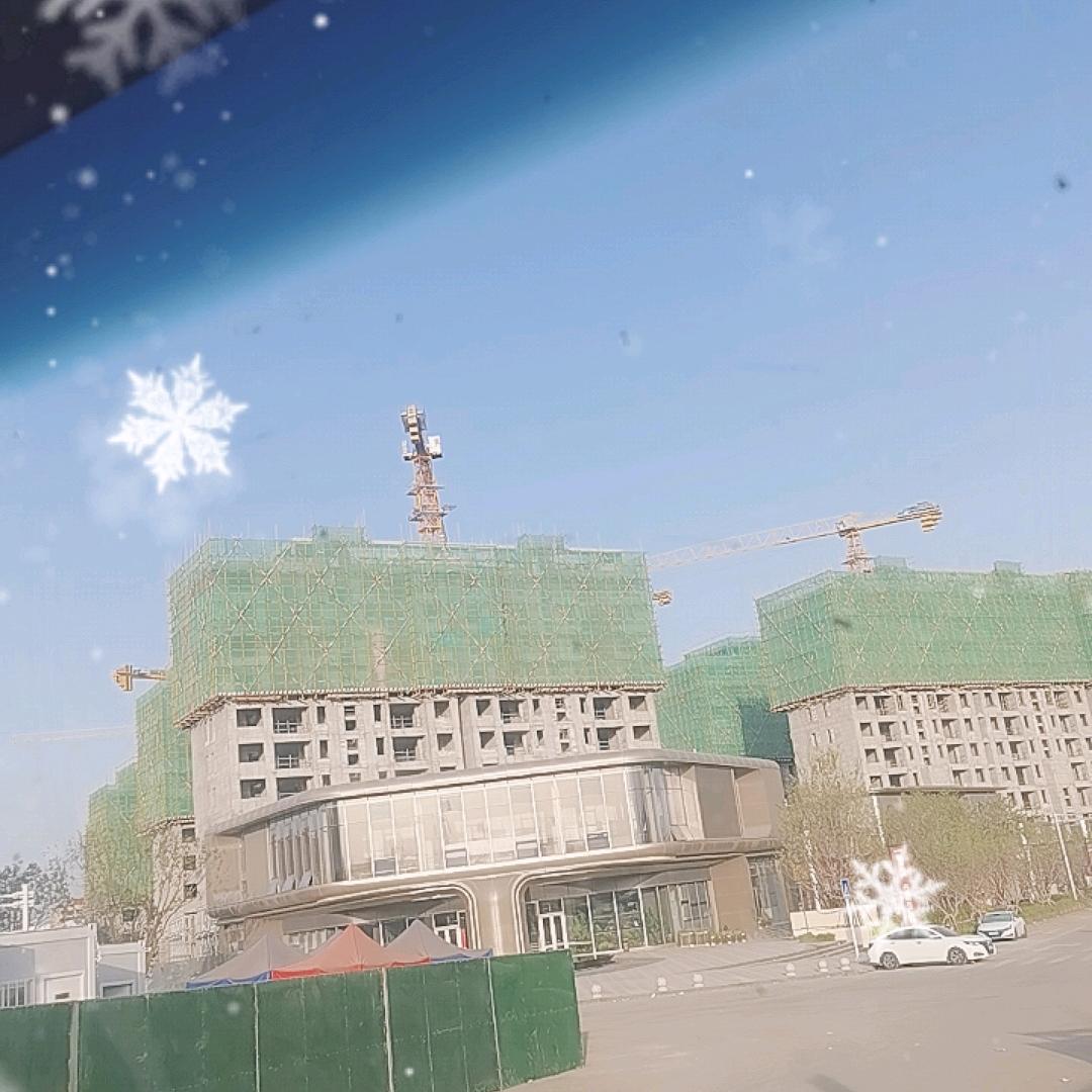 老高