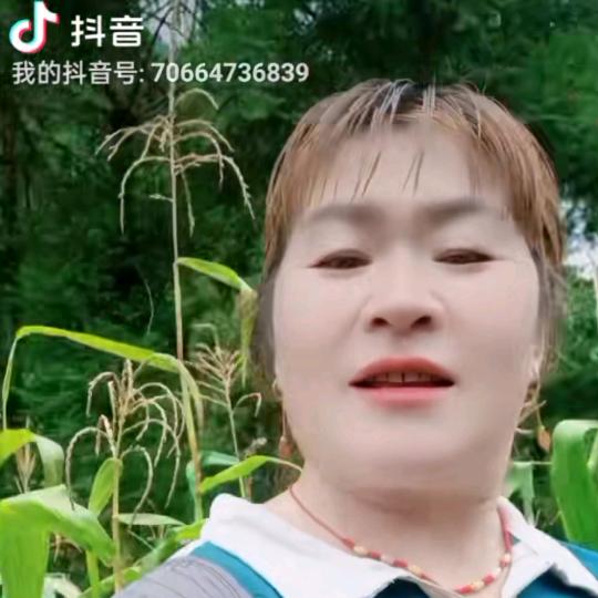 王发群