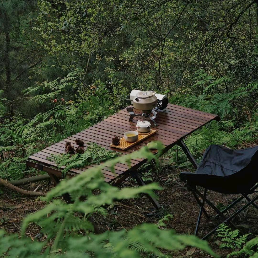 吾饮仙粮-普洱茶