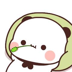 小白  \