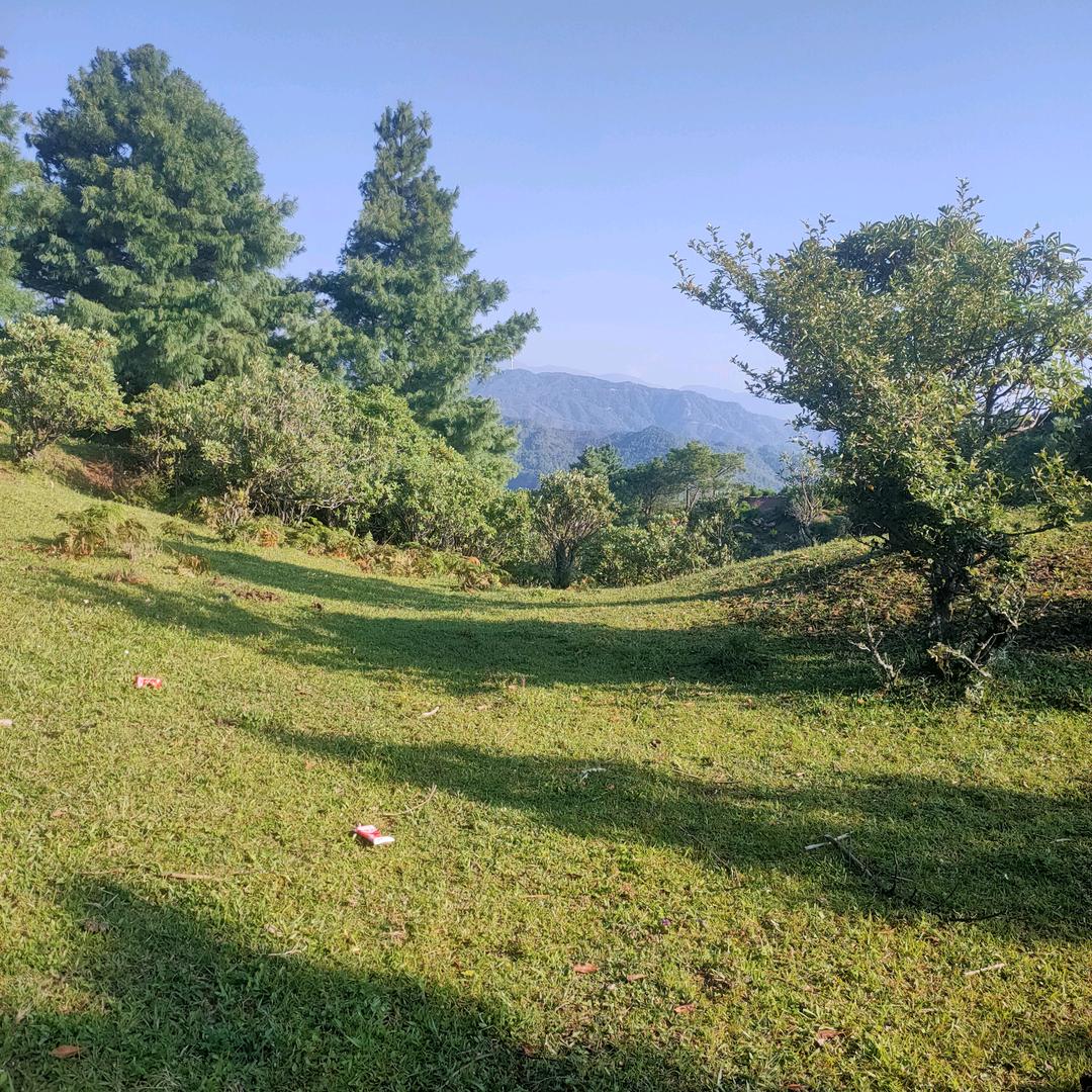 小范
