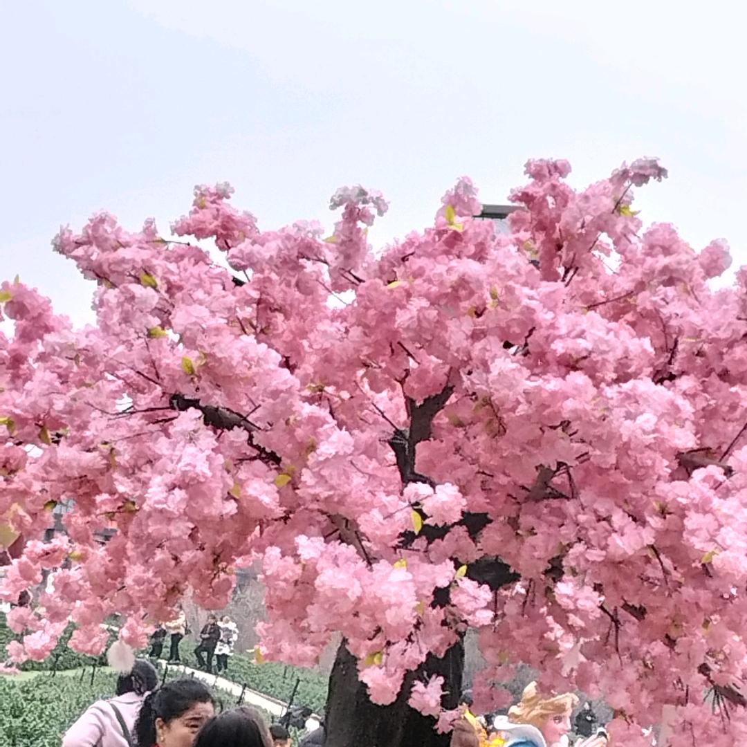 幸福微笑