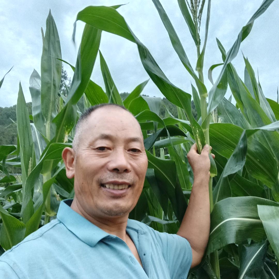 张鲜林