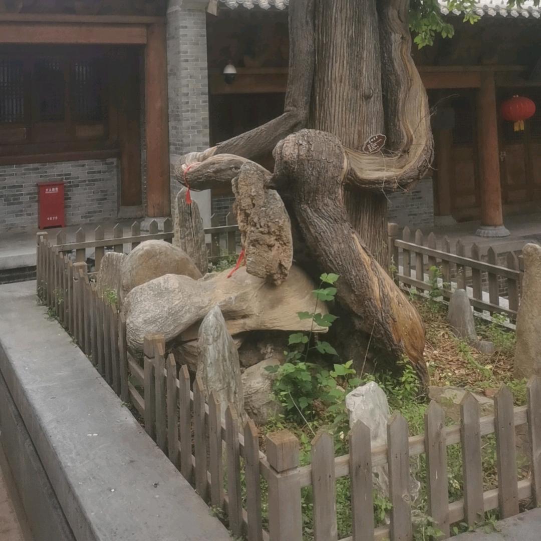 云泽百货商行