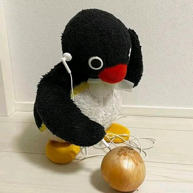 蜜汁朱翅