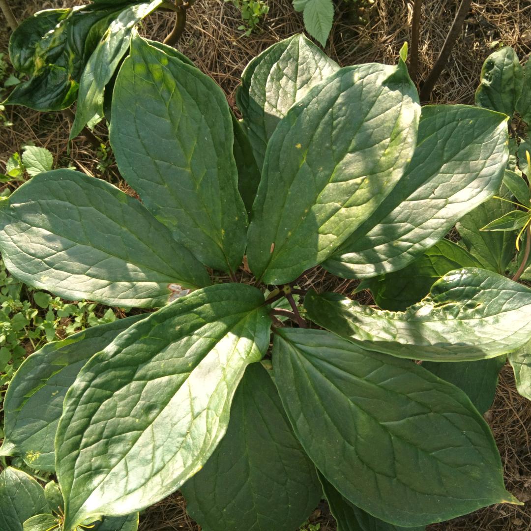 一生平安才是幸福