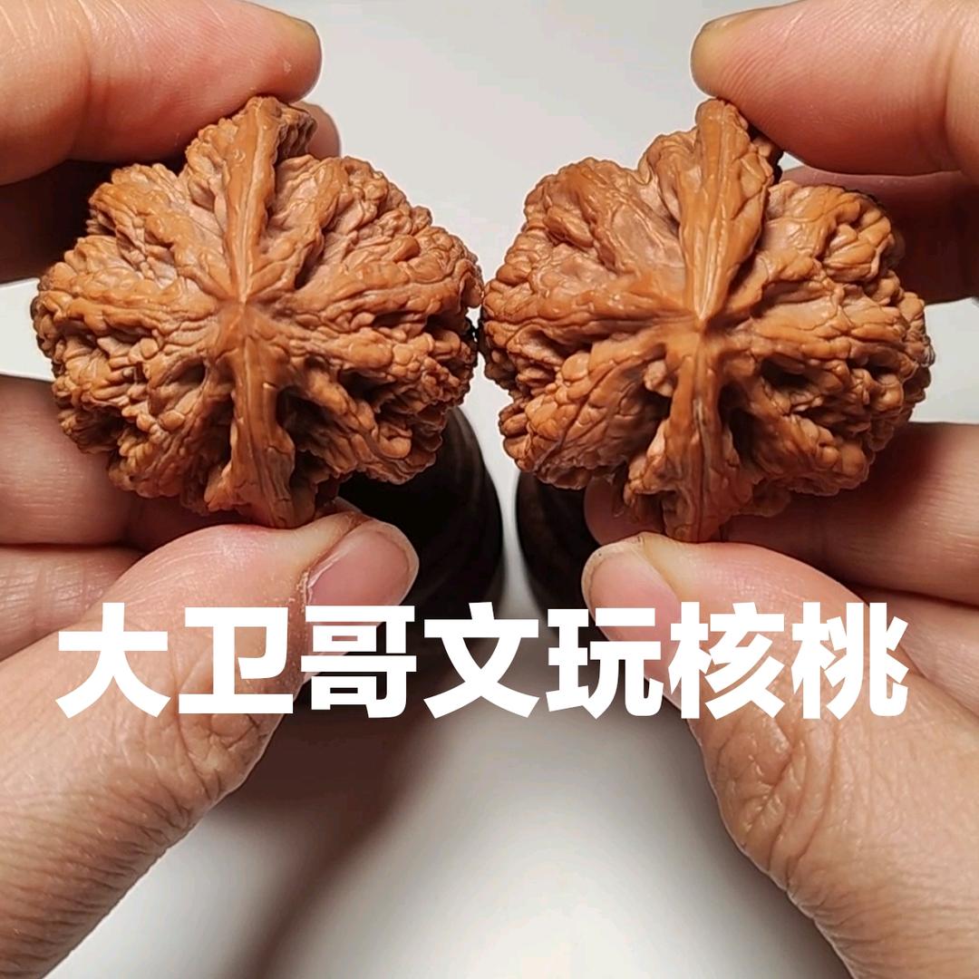 大卫哥～文玩核桃
