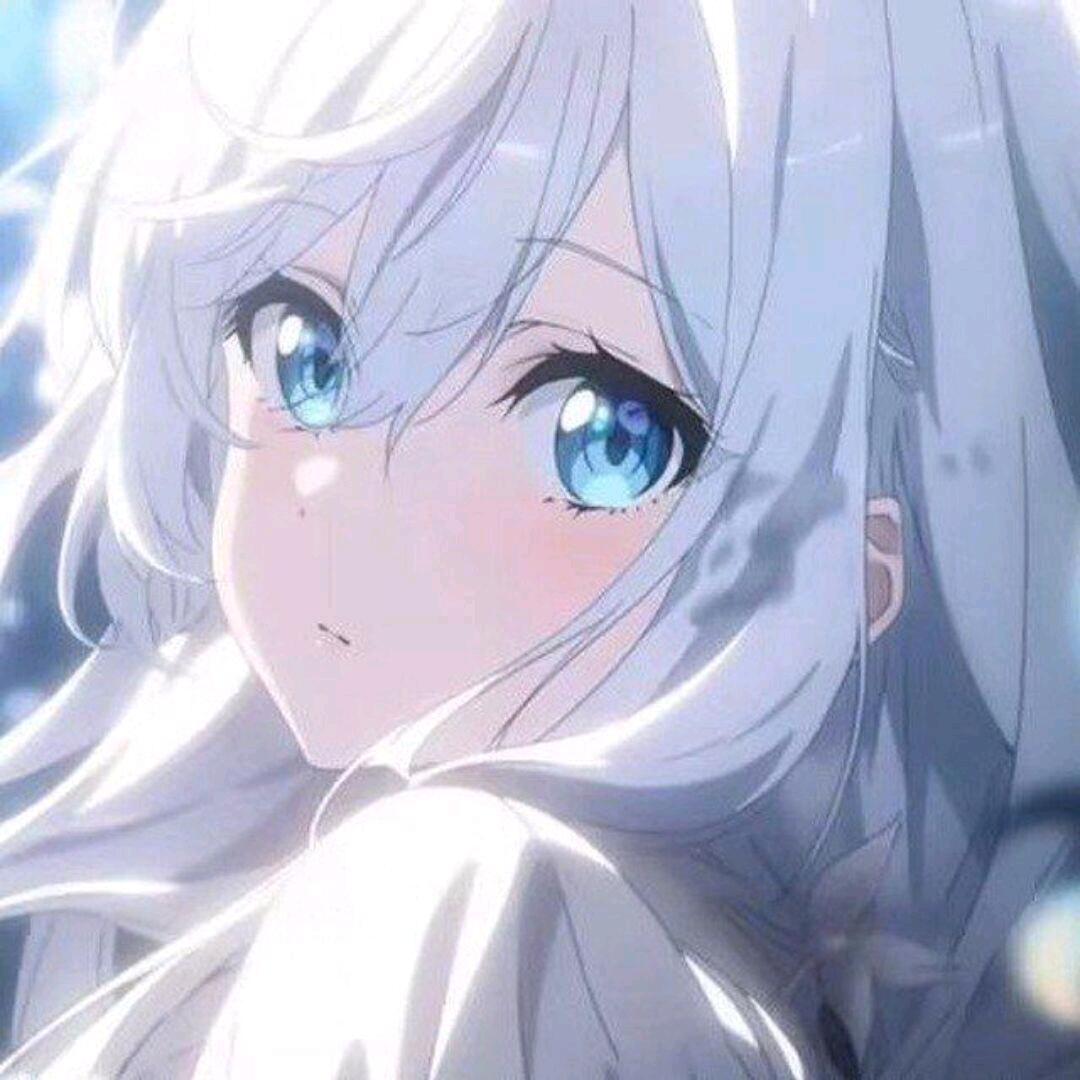 。。。。。。。。。。。。