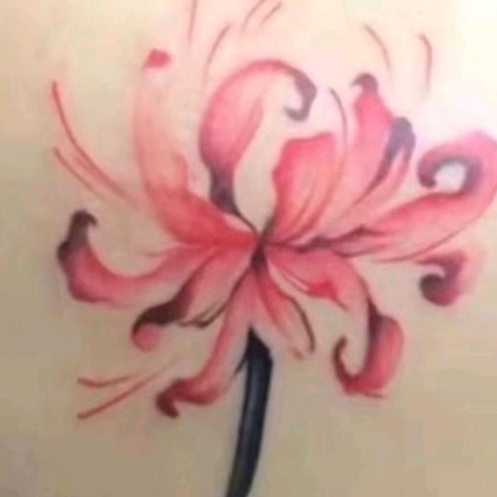 彼岸花🌸