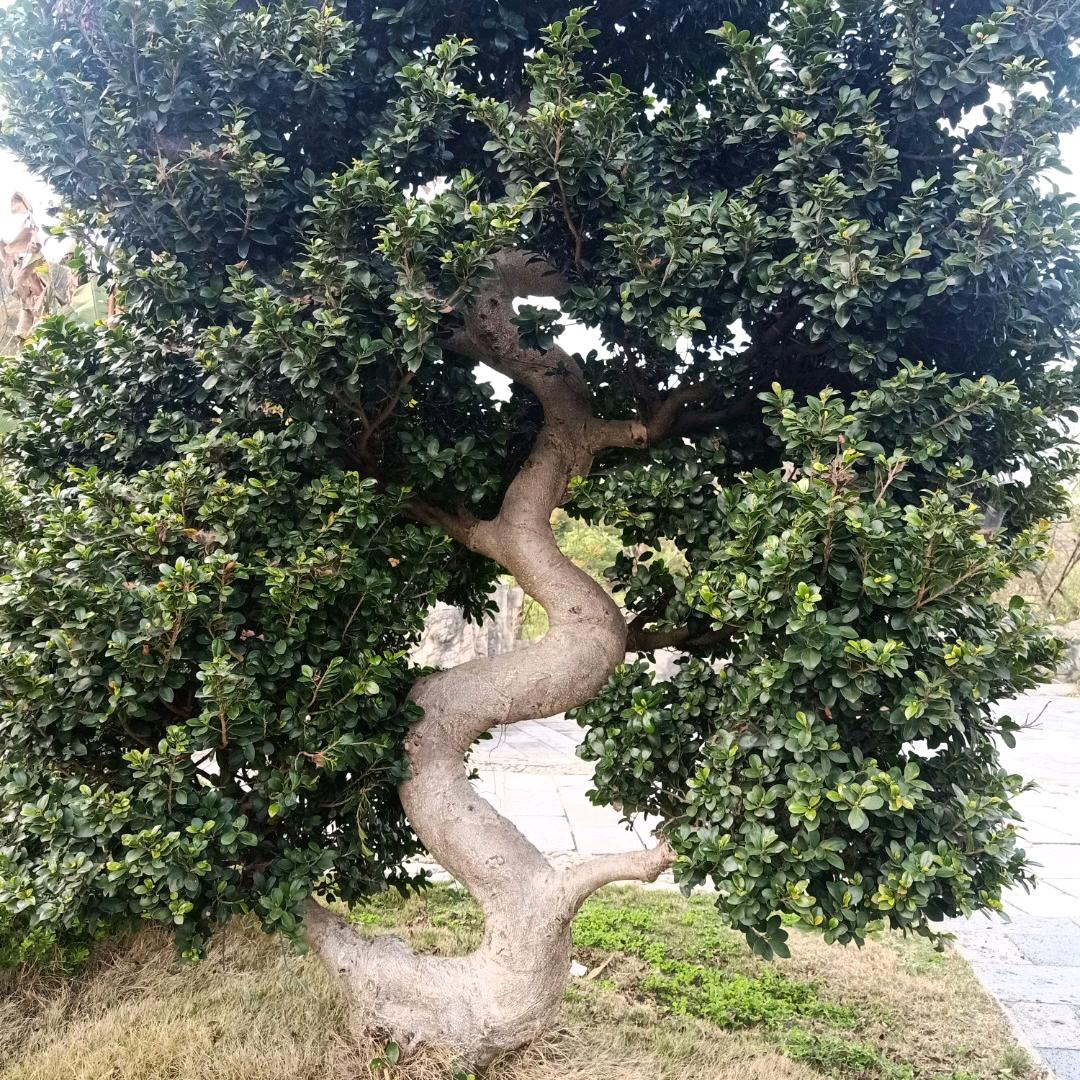 一笑奈何