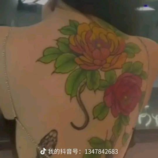 臭宝