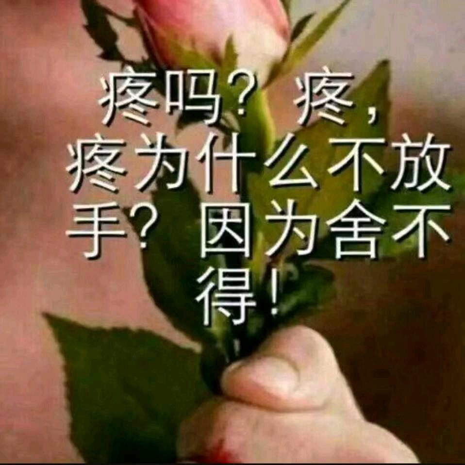 相识如初