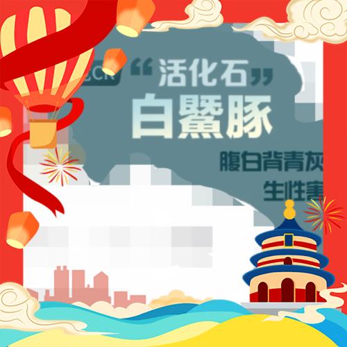 爱发疯的大公猴