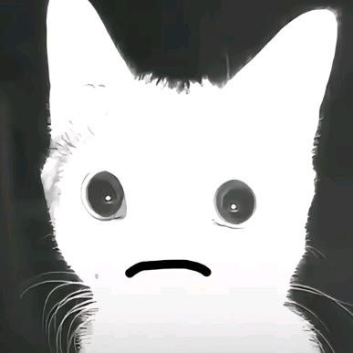 全都不知道