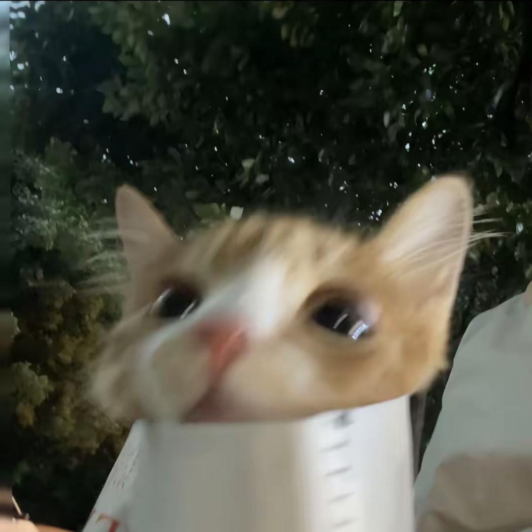 贝贝
