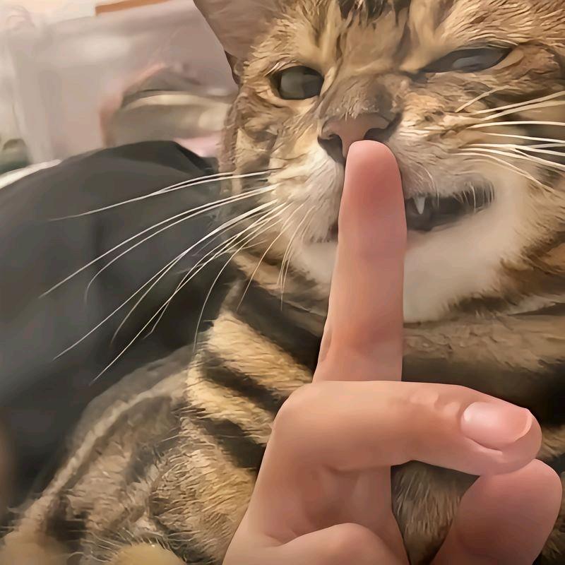 一个在三明的东北人