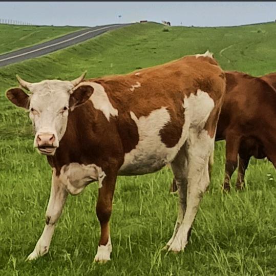 一生无悔🌧️🌧️🌧️🌧️