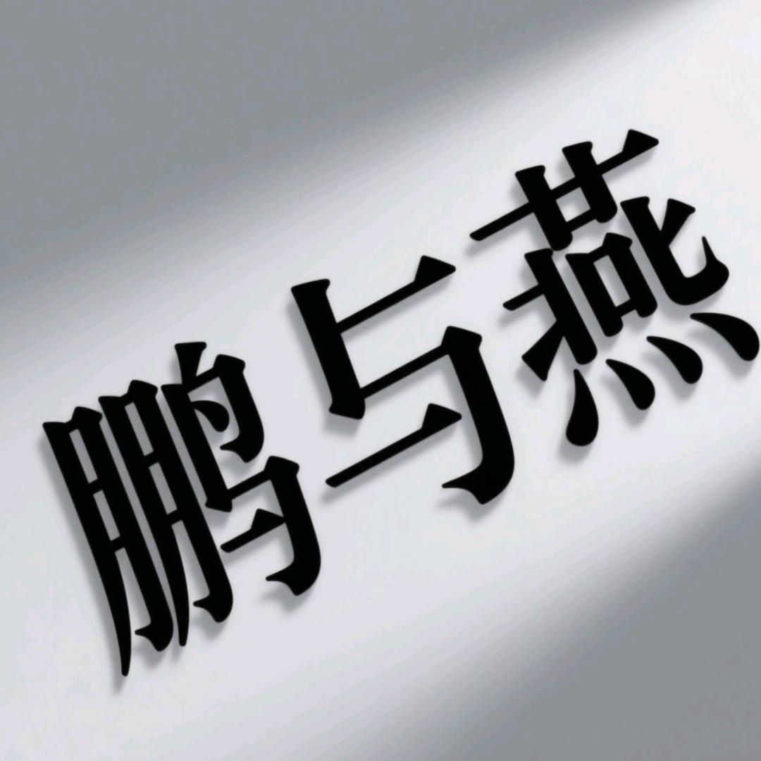 鹏与燕的鹏（三角洲行动）