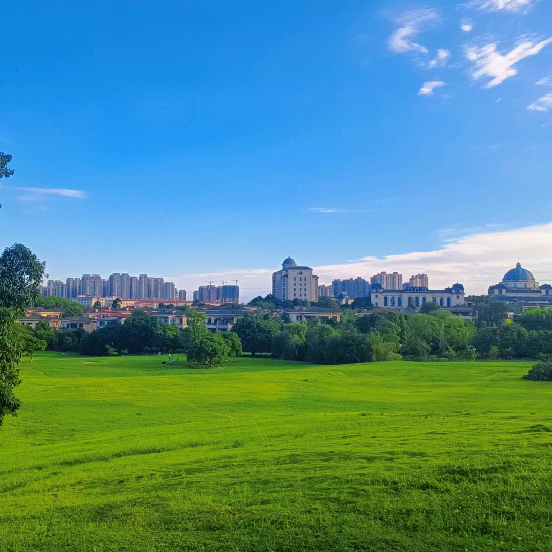 尹老师（初三复读）