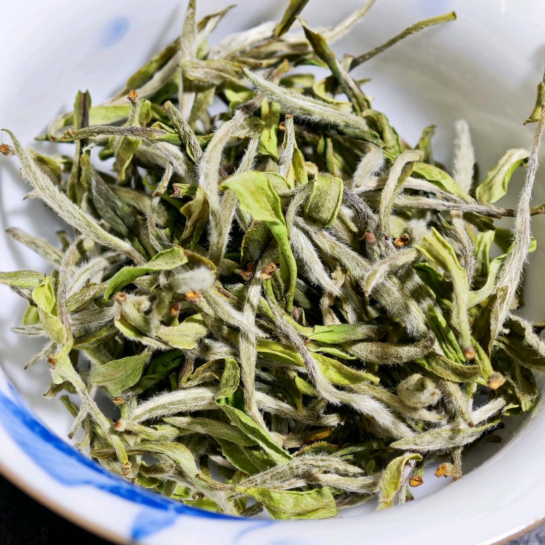 精品日晒福鼎白茶