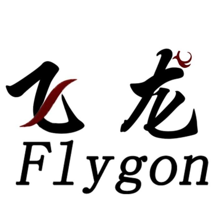飞龙梦想