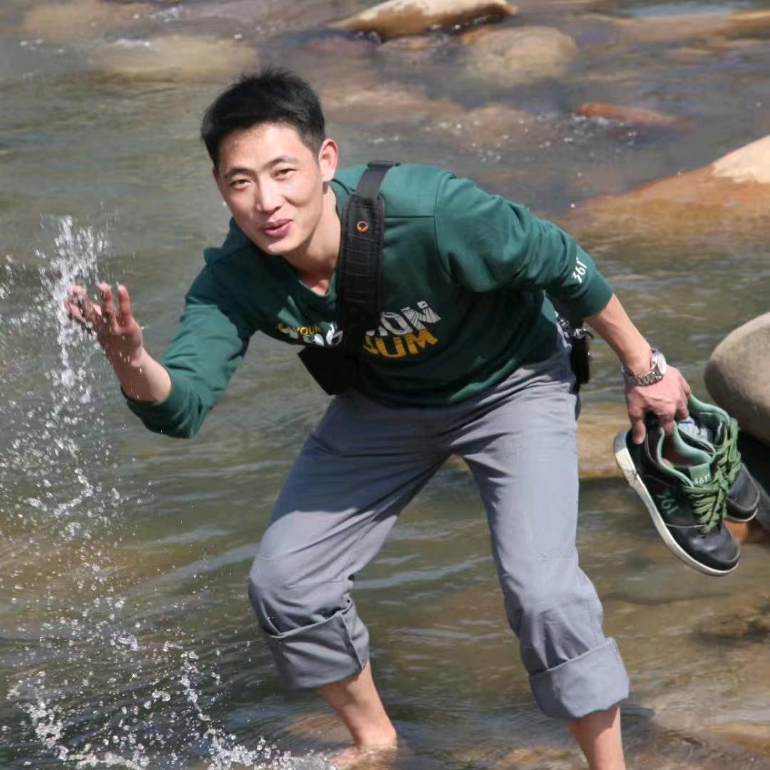 映网