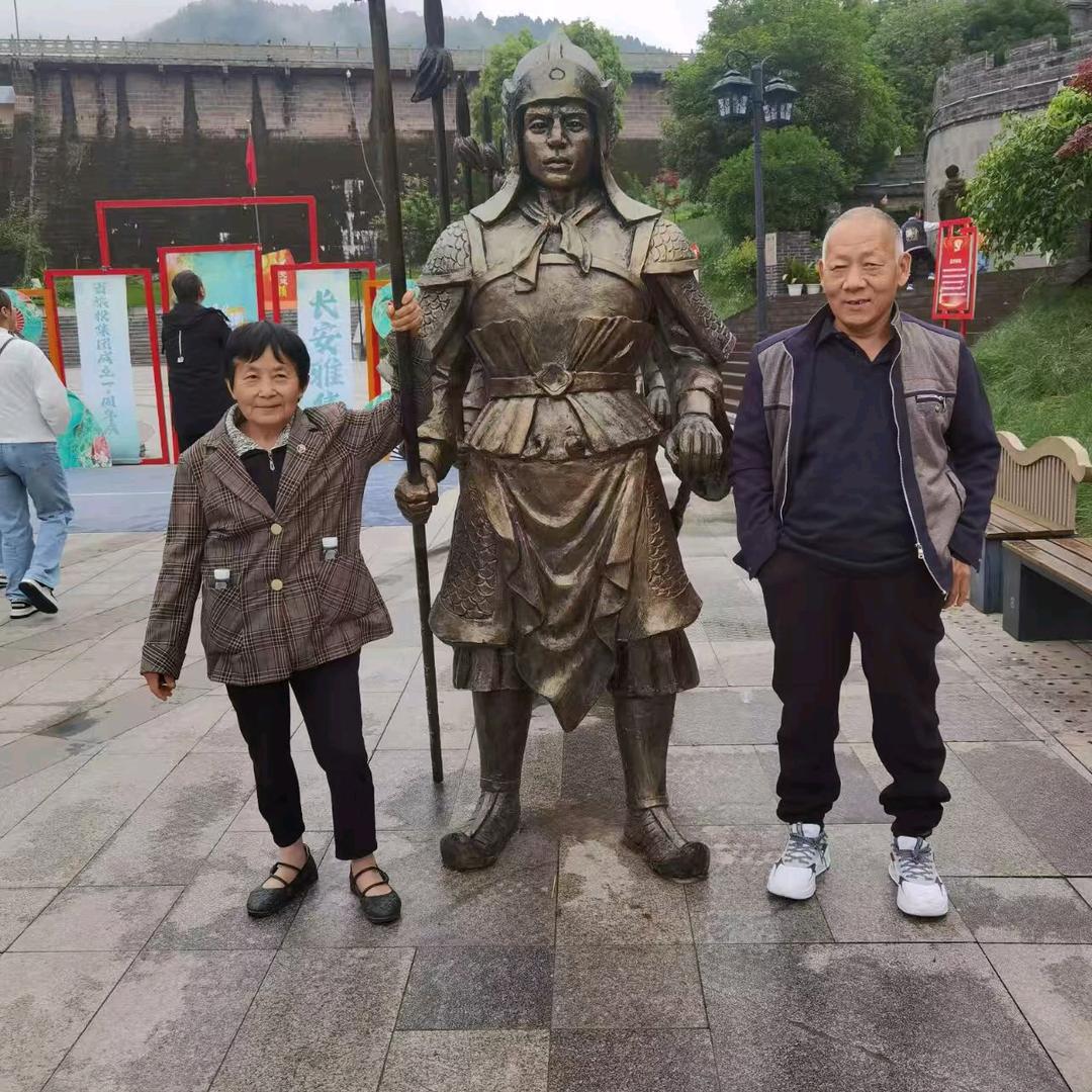 王师出售新旧预子板