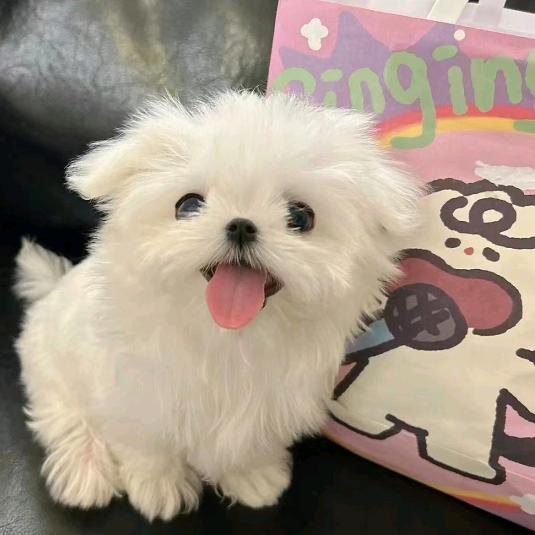 6013
