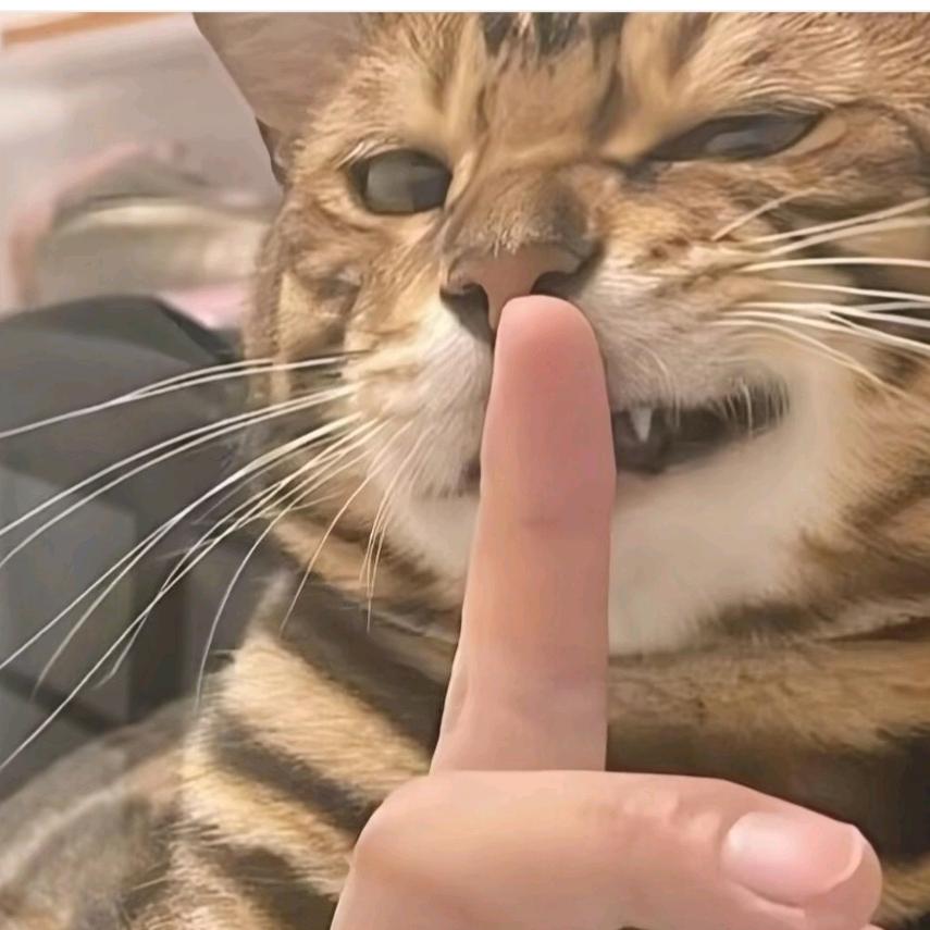 W♛