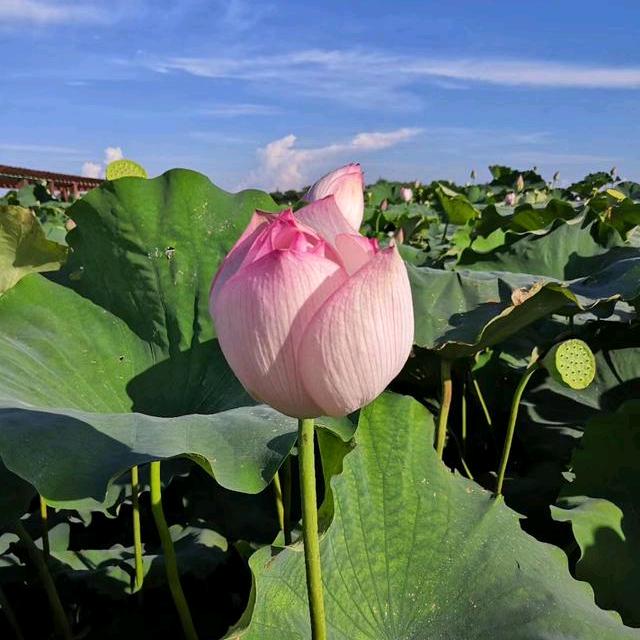 勇往直前勇往直前