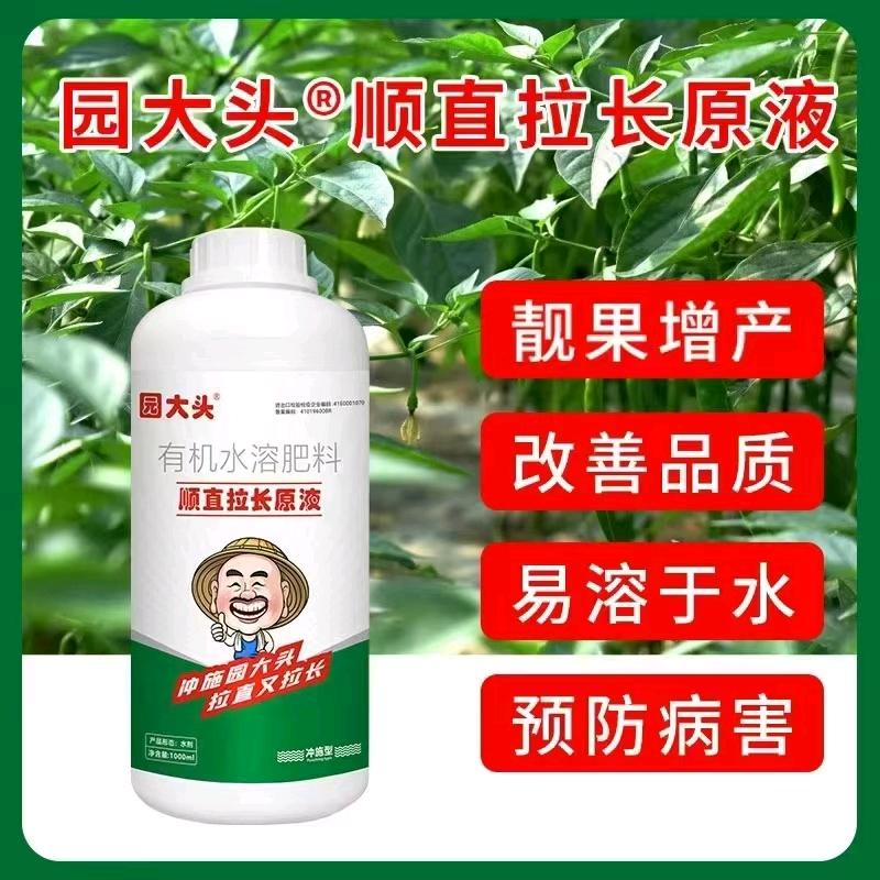 园大头−李芳讲辣椒🌶️