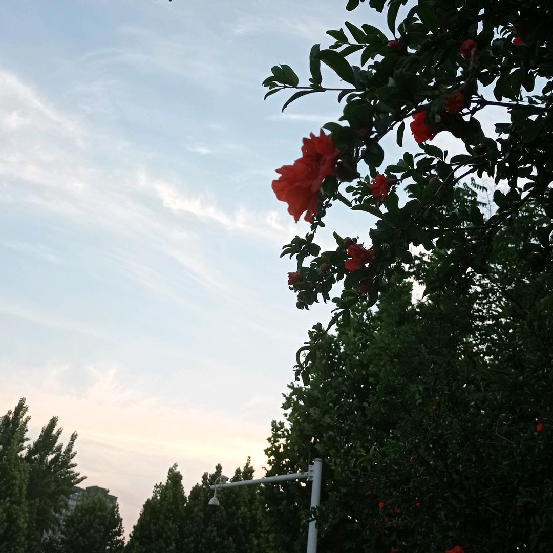 醉冷城