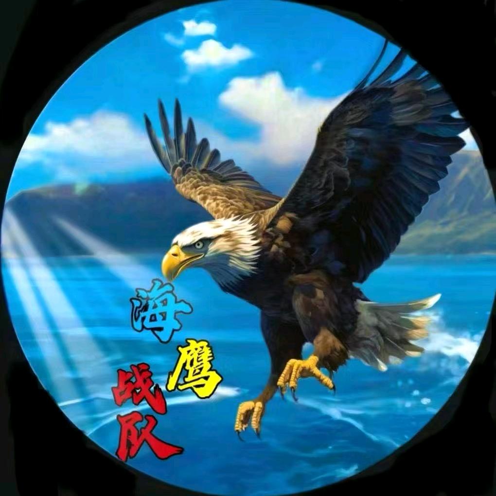🦅海鹰战队无悔